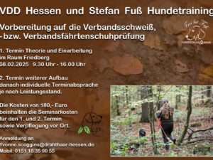 Hundeschule „Frei bei Fuß“