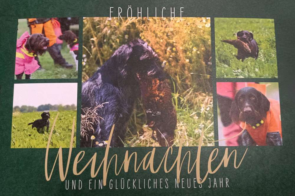 Frohe Weihnachten